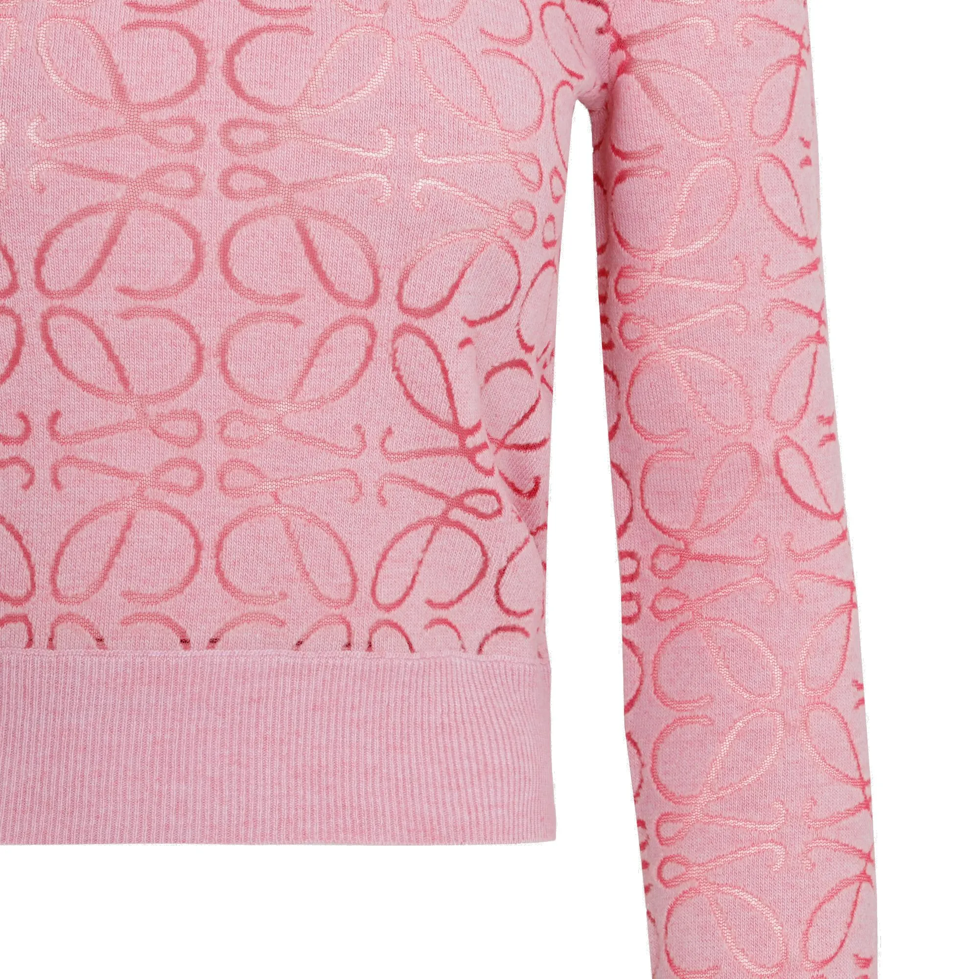 Loewe Anagram Devore Sweater