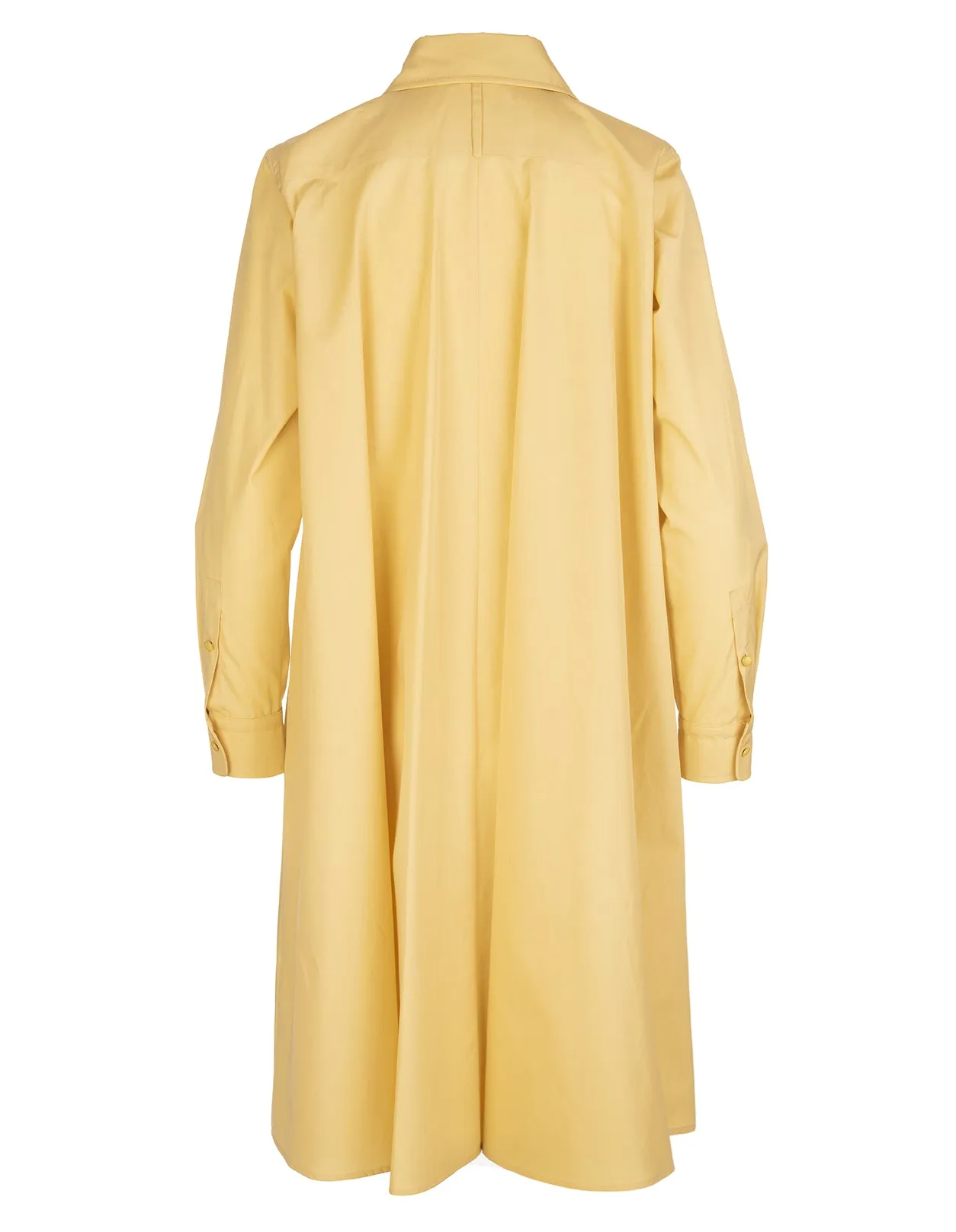 Max Mara Pleat Detailed Shirt Dress