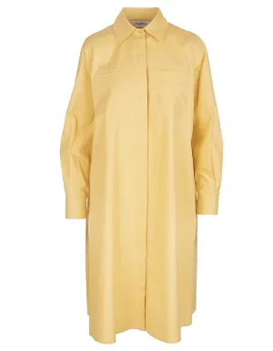Max Mara Pleat Detailed Shirt Dress