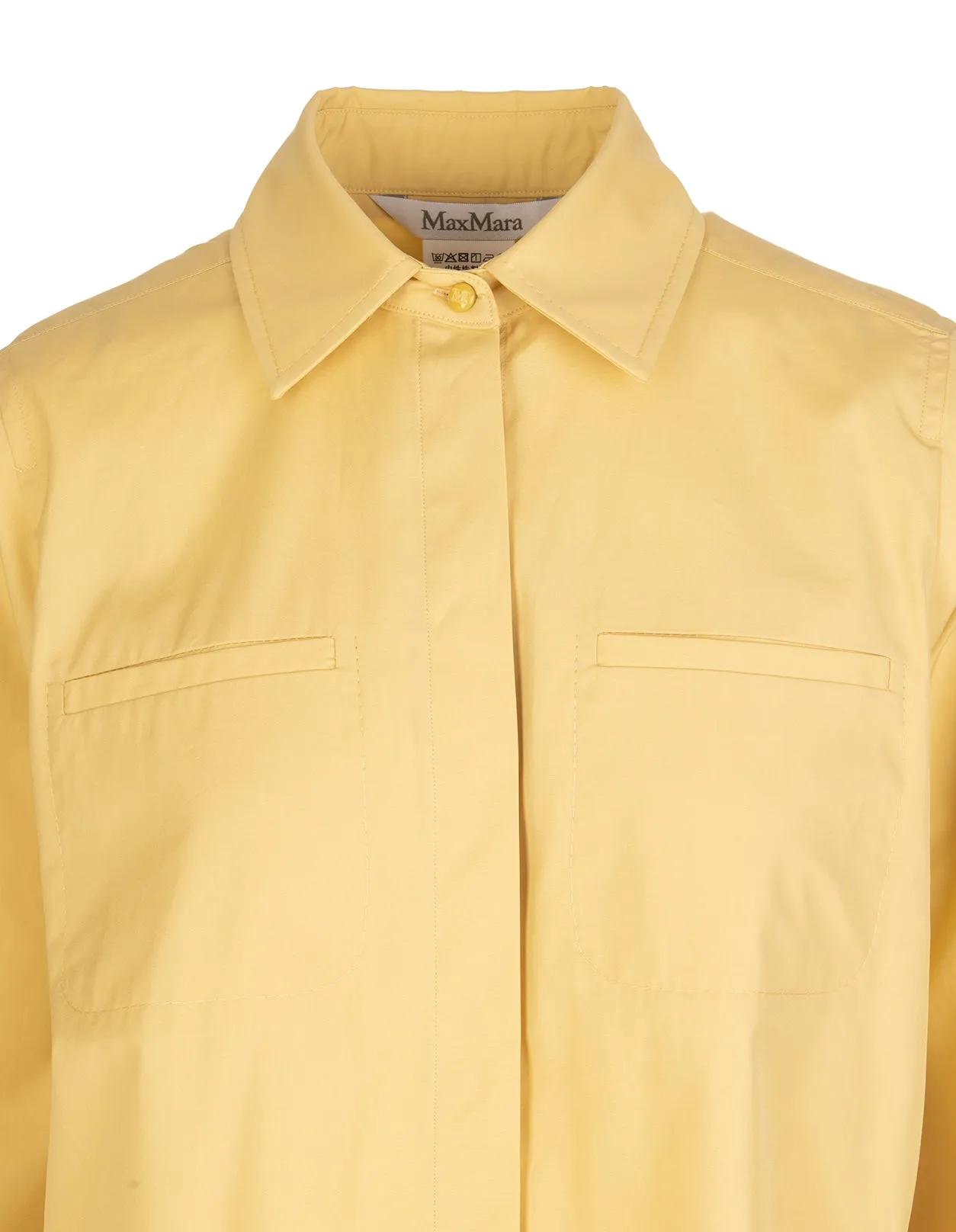 Max Mara Pleat Detailed Shirt Dress