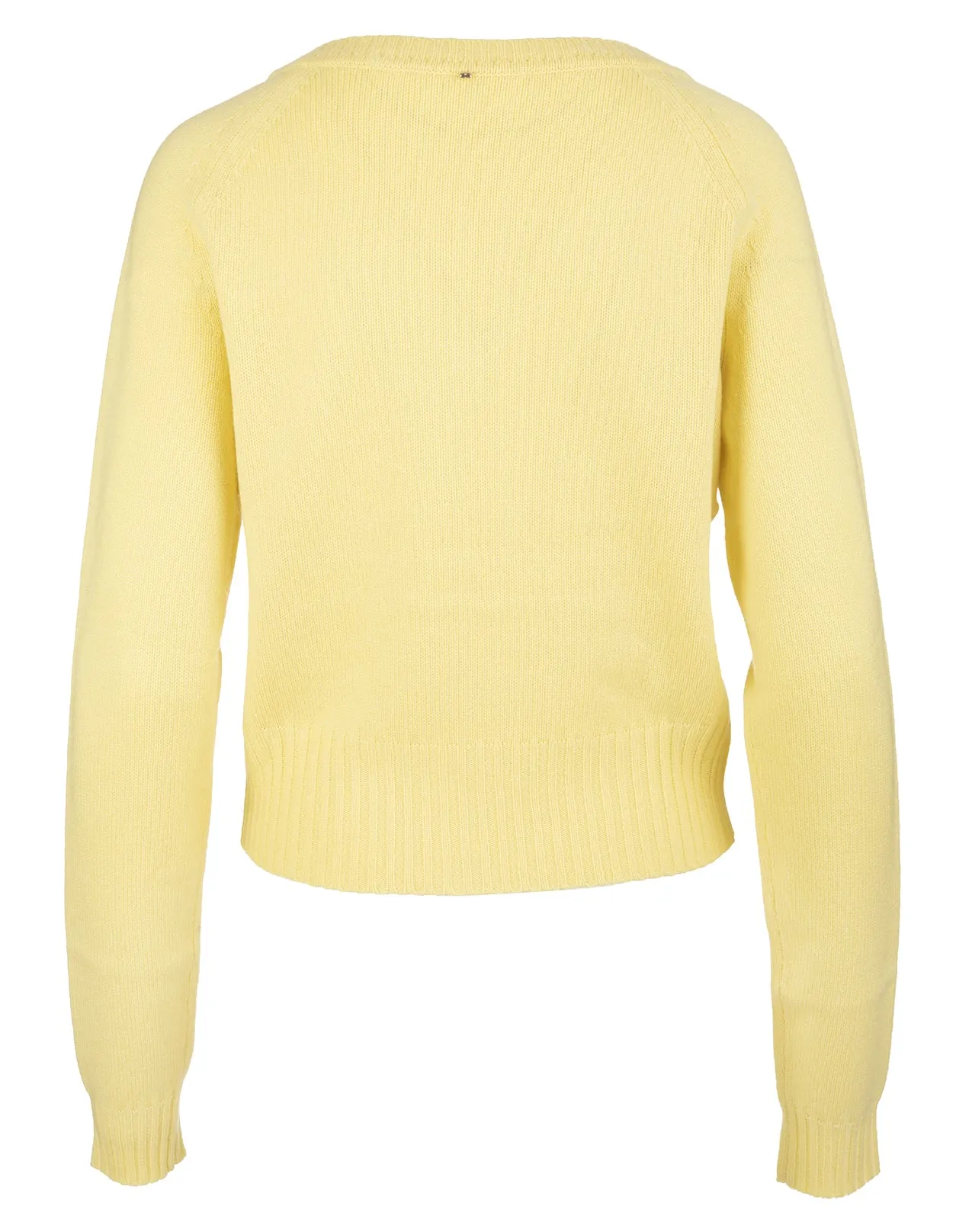 Sportmax Fatuo V-Neck Knitted Sweater
